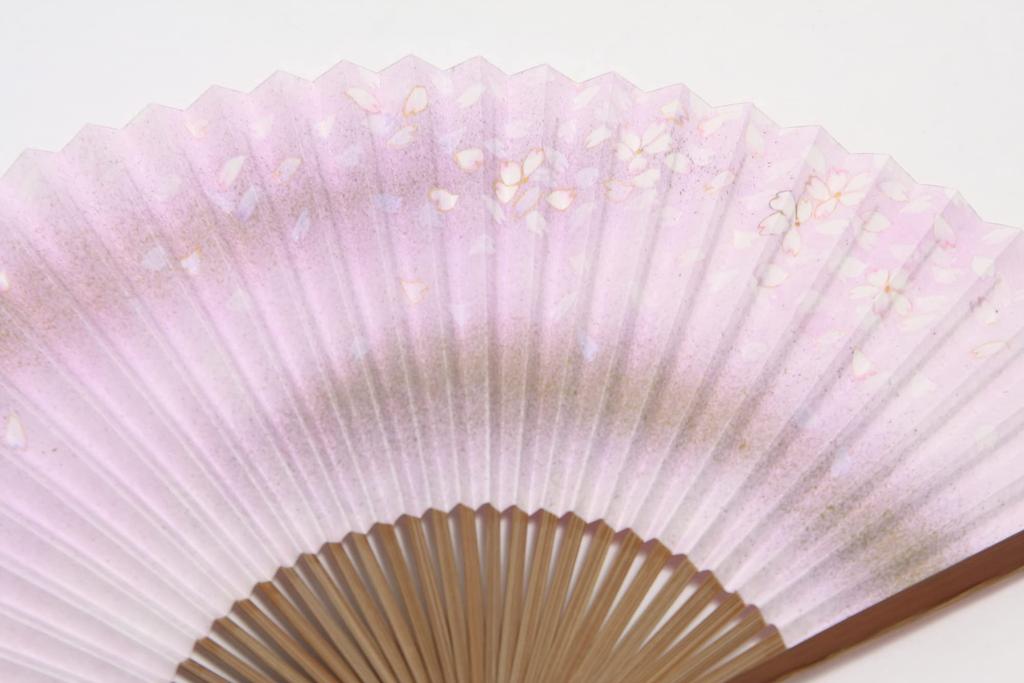 Faltfächer für mit Fächeretui und Präsentationsbox Wasser und Kirschblüte [Hasegawa] Kyoto-Stil Damen, (Fließendes Design, beidseitig)