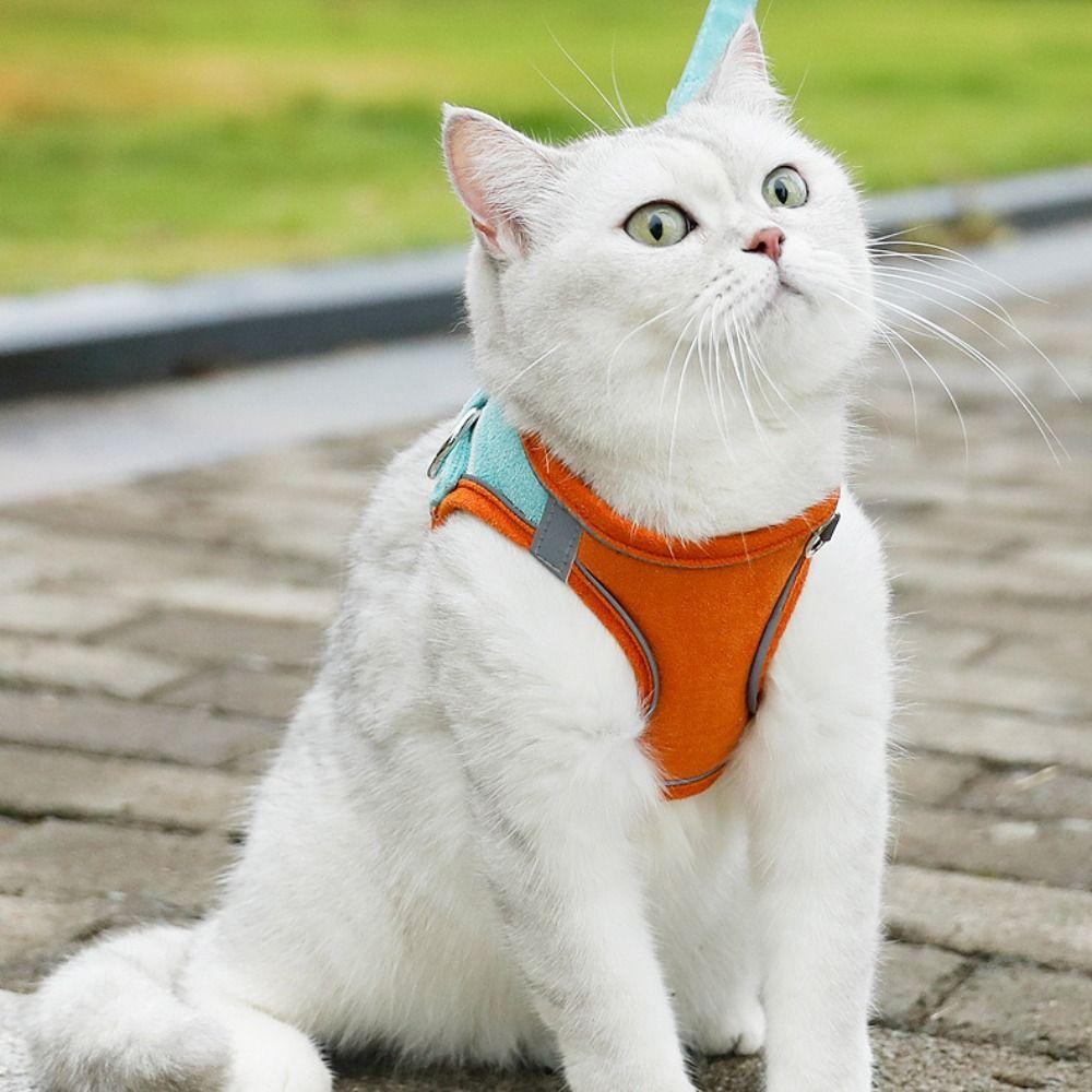 Anti Escape Pet Chest Strap Breathable Dog Leash Set Cat Supplies Cat Harness Vest  Puppy