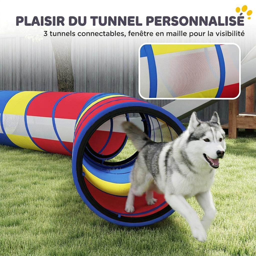 Dog Agility Equipment, 12-Piece, 4 Tunnels, Jumps, Ring, Slalom, 357 x 65 x 68 cm, Multicolored