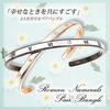 La Amore Eterno Pair Stainless Steel Surgical Stainless Steel Atlas Design with Roman Rose Gold and Black Bangles, Bracelets, Accessories, Numerals,