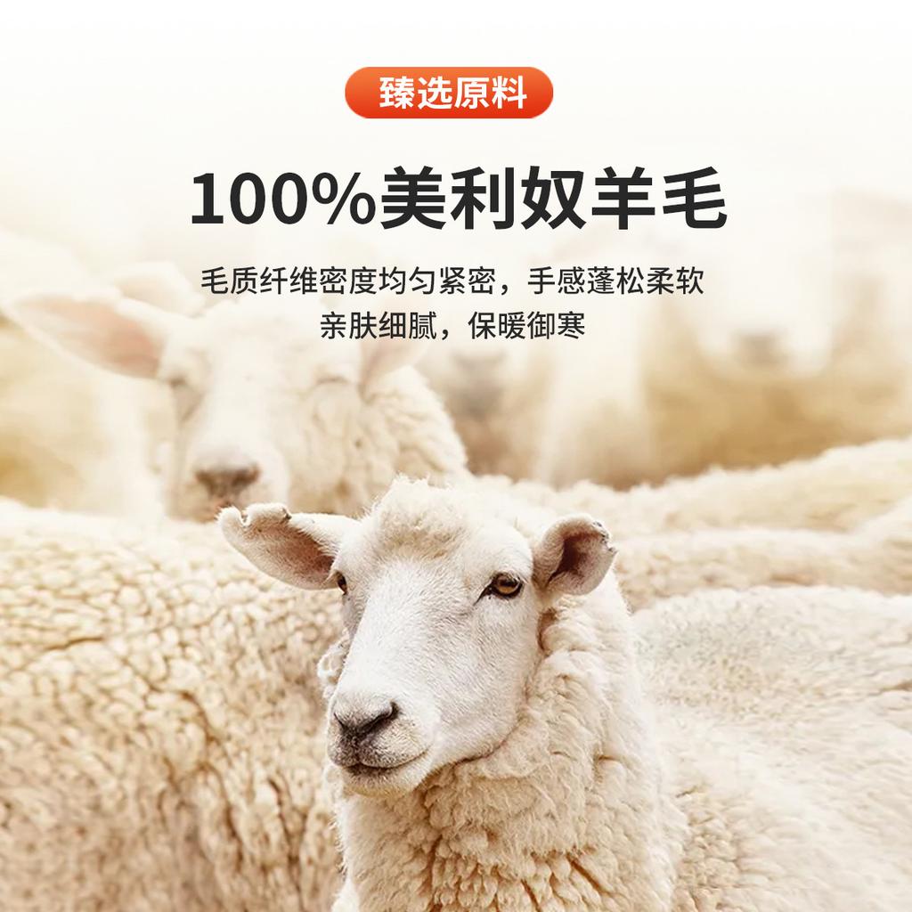 [100% Sheep Wool] Simple Luxury Business Leisure Men's Round Neck Thick Wool Sweater Base Sweater Spring and Autumn