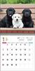 Calendrier 2024 Labrador Retriever (Calendrier Seibundo Shinkosha)