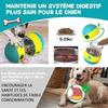 Jouet pour Chien Indestructible, Jouets pour Chiens Interactif de Mangeoire, Distributeur Croquettes Jouet Occupa JOUET A FRIANDISE