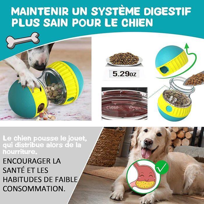 Jouet pour Chien Indestructible, Jouets pour Chiens Interactif de Mangeoire, Distributeur Croquettes Jouet Occupa JOUET A FRIANDISE