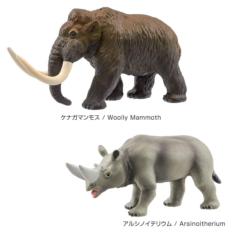 COLORATA 3D Encyclopedia Extinct Animals (Cenozoic) – Real Figure Box, 8 Figures + Multilingual Guide