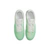 Nike Sb Ishod Wair Premium Light Menta DO9400-300
