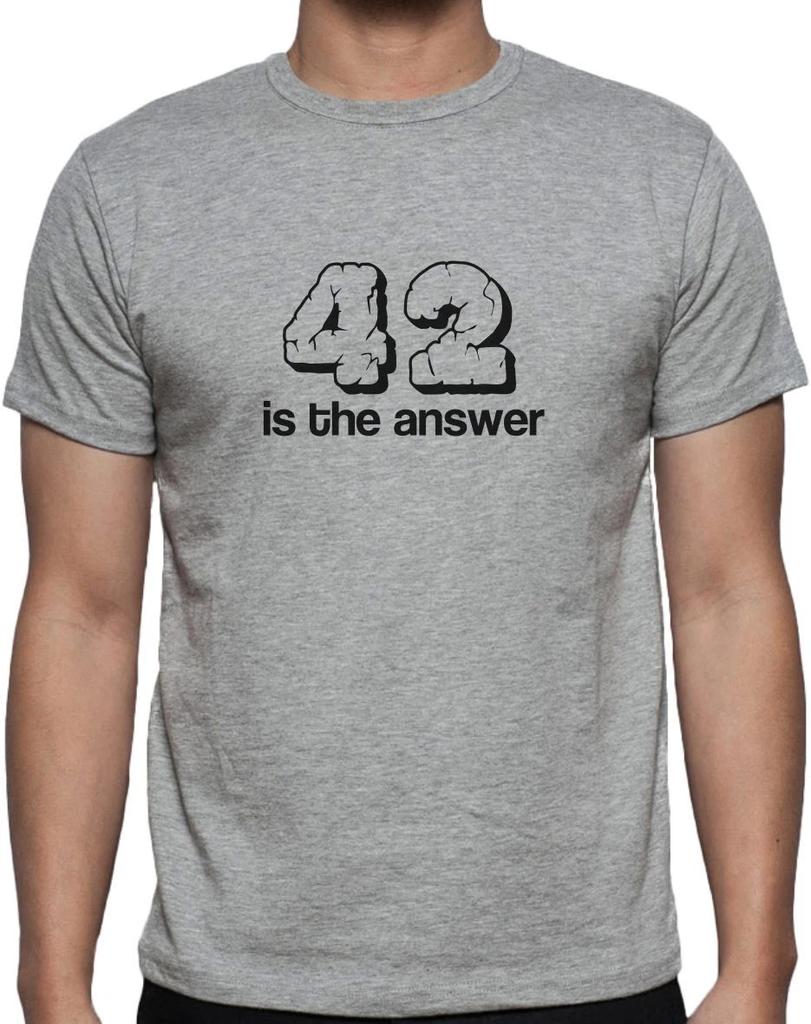42 IS THE ANSWER - MEANING OF LIFE SLOGAN Mens Womens Kids T-Shirt