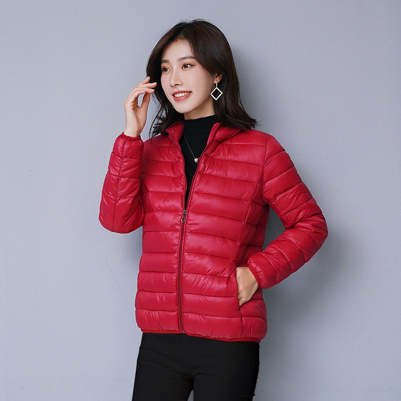 2023 Women's Off-Season Lightweight Cotton Jacket, Solid Color, Korean Style, Versatile, Short and Slim Fit