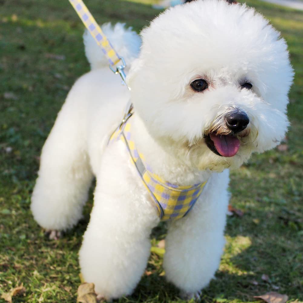 KUVEELA PET Pet Harness and Leash Set for Dogs and Adjustable with Reflective Easy To Put On and Take Off for Walks and for and Large Dogs Yellow and