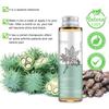 Castor Oil Pure Natural Moisturizing for Dry Skin Body Massage Use