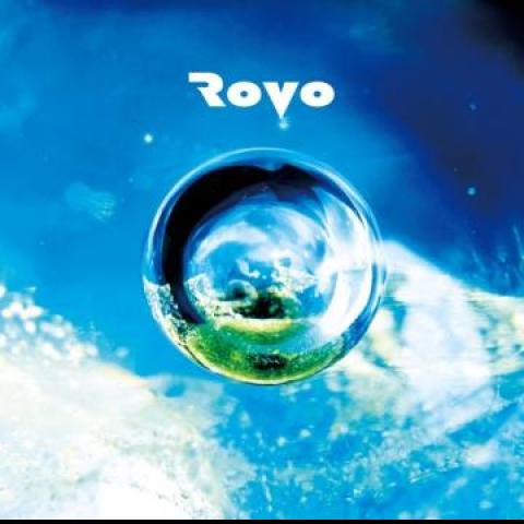 

LP Record ROVO - Rovo HRLP210 Wonderground Mu 2022 Japan Japanese Pop/Rock
