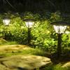 Solar LED Outdoor Lawn Light
