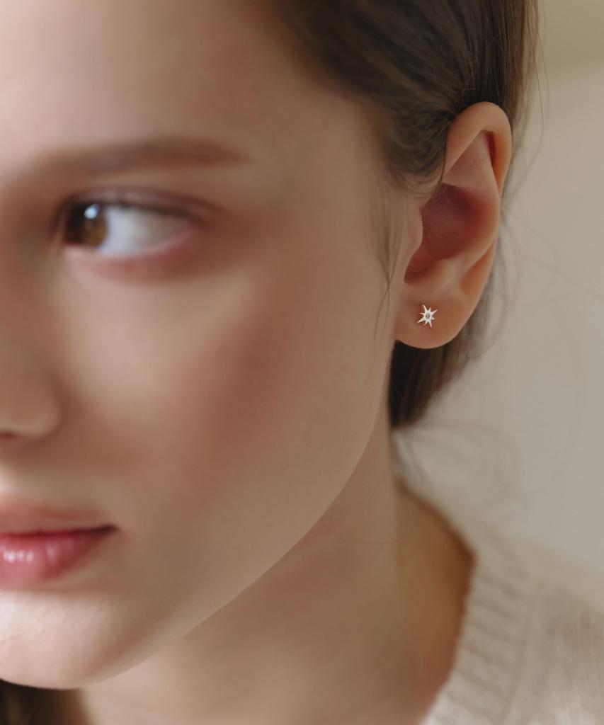 Dungeureon [925 Silver] Sparkle Earrings