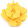 5/10Pcs Artificial Phalaenopsis 3D Small Butterfly Orchid Fake Flower Home Drapery Wall Wedding Decoration Festival Diy Wreath