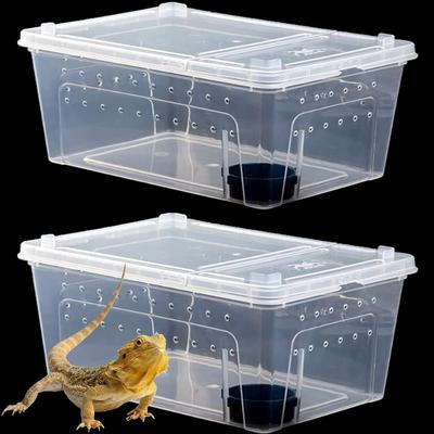 Reptilien – Reptilien-Terrarien