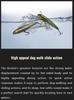 Jackall Bonnie 85 Floating Lure Natural Shad (7176)