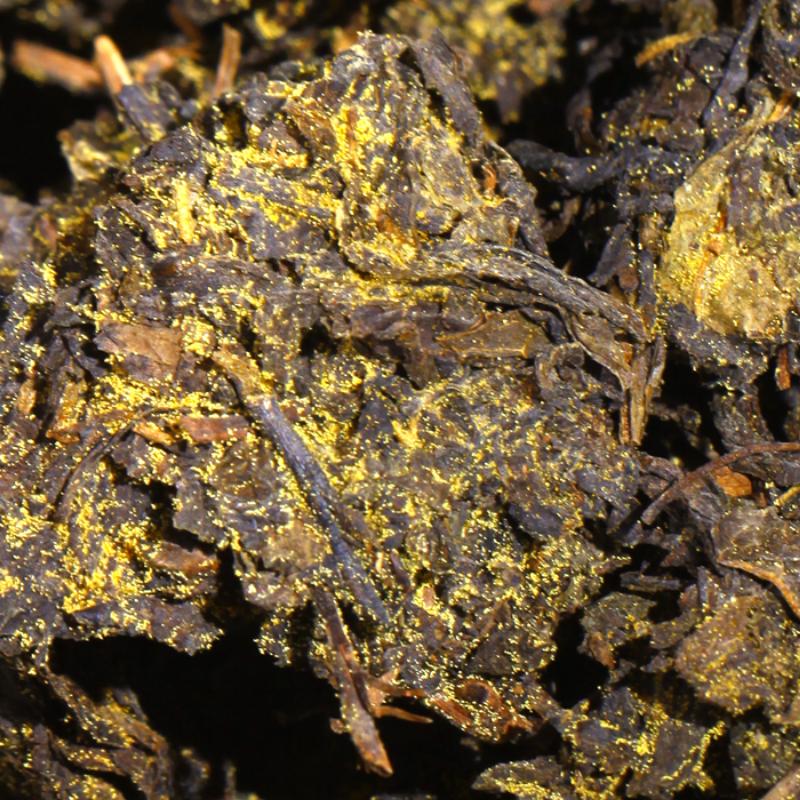 357 г Темный чай Аньхуа Цзинвэй Фу Ча Цизи Темный чай Чай для похудения Здравоохранение — фото 4