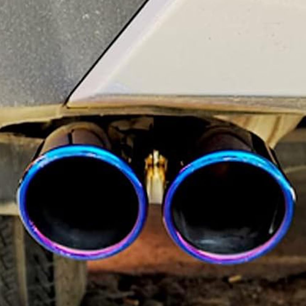 srasakan Car Muffler Cutter, Downward Type, 2 Openings, 2.5 Inch Diameter, Includes Drop Prevention