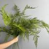 Large Artificial Fern Plant Branches Real Touch Realistic Boston Fern Leaves Handmade Elegant Artificial Asparagus Fern