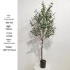 Olive Tree Potted Plant - Indoor Decor Simulation for Living Room