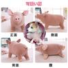 Yurika Dog Toy Plush Toy Cute Pig Dog Teeth Brushing Dogman Dog Birthday Gift Teddy Golden Retriever Pet Toy Durable (L)