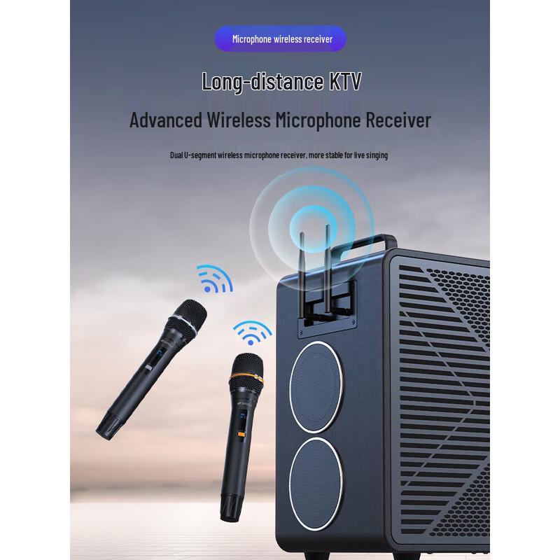 SANSUI C2 All-in-One Home KTV & Outdoor Karaoke Speaker with Display CN plug (adapter included)