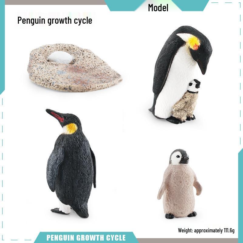 Penguin Model Toy - Children's Cross-border Cognitive Simulation of Emperor & African Marine Animals