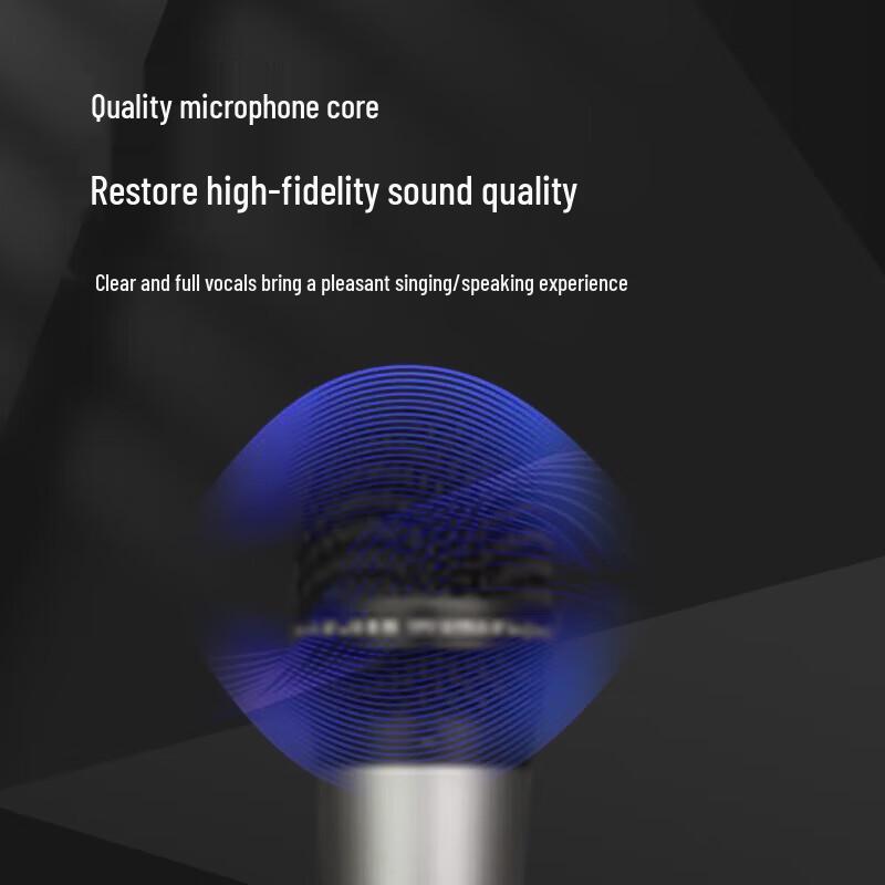 FionTu Professional Wireless Conference Handheld Microphone System (CN Version)