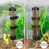 Peixes e animais aquáticos – Manutenção de aquário