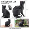 Oenux Cat Model Siamese Devon Rex Sphynx Ragdoll Persian Action Figure Cat Kitty Bobtails Figurine Cute Decoration Kids Toy Gift