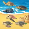 TOYMANY Animal 6 Pieces Turtle Marine Animal Realistic Animal Turtle Popular Birthday New Ages 6 and Up Figures, Figures, Set, Model, Lover, Animal,