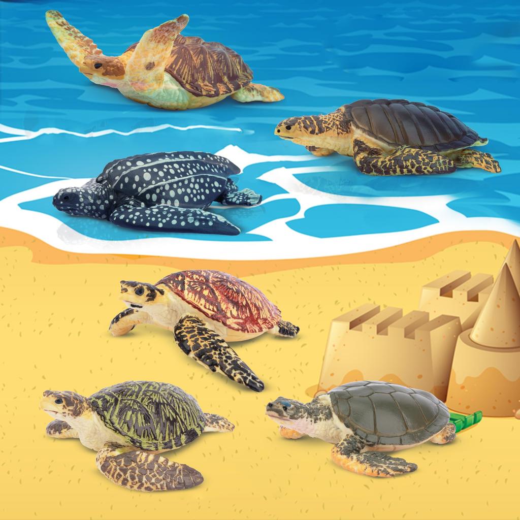 TOYMANY Animal 6 Pieces Turtle Marine Animal Realistic Animal Turtle Popular Birthday New Ages 6 and Up Figures, Figures, Set, Model, Lover, Animal,