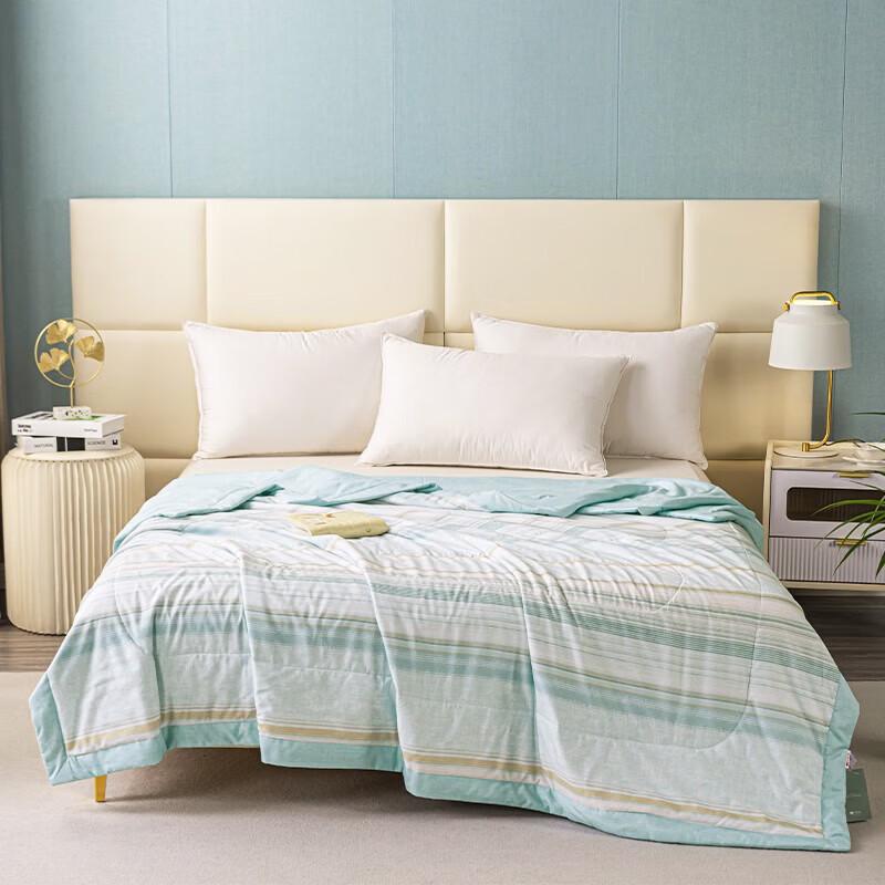 Dohia Mugwort Antibacterial Summer Quilt