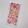 Butterfly Flowers Stickers Sparkling Laser DIY Decorative Goo Cards
