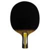 Double Fish 6-Star Penhold Table Tennis Racket