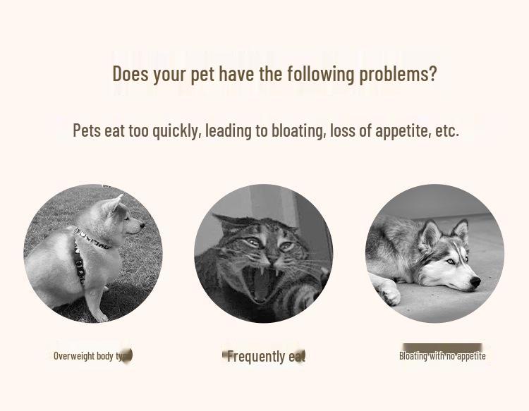 Stainless Steel Non-Slip Slow Feeder Pet Bowl for Cats & Dogs