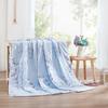 Antibacterial Anti-Mite Summer Comforter