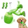 Auto Rolled Pet Ball Toy for Dog with Touch Activations and Bird Chirping Sounds To Stimulate Hunting and Play