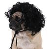 Are 10 Here Suggested Titles For The Pet Wig Product Based On The Information Provided