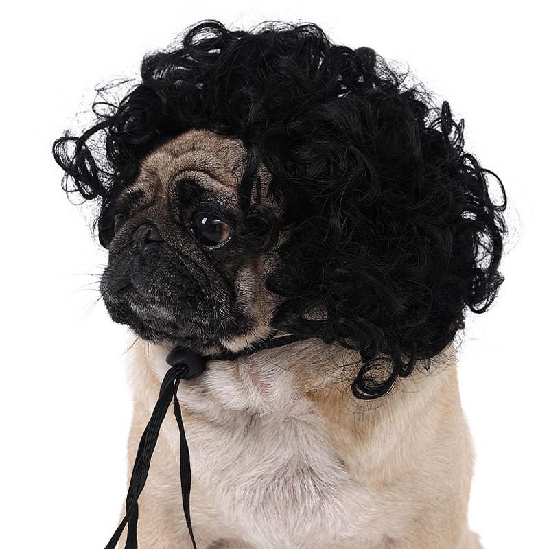 Are 10 Here Suggested Titles For The Pet Wig Product Based On The Information Provided