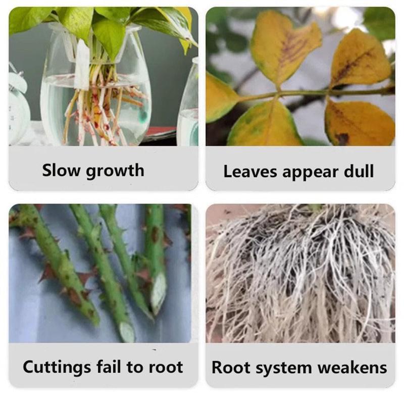 Plant Root Stimulator Promotes Root System Development Seedling Root Strengthener Enhances Vegetable Root Growth
