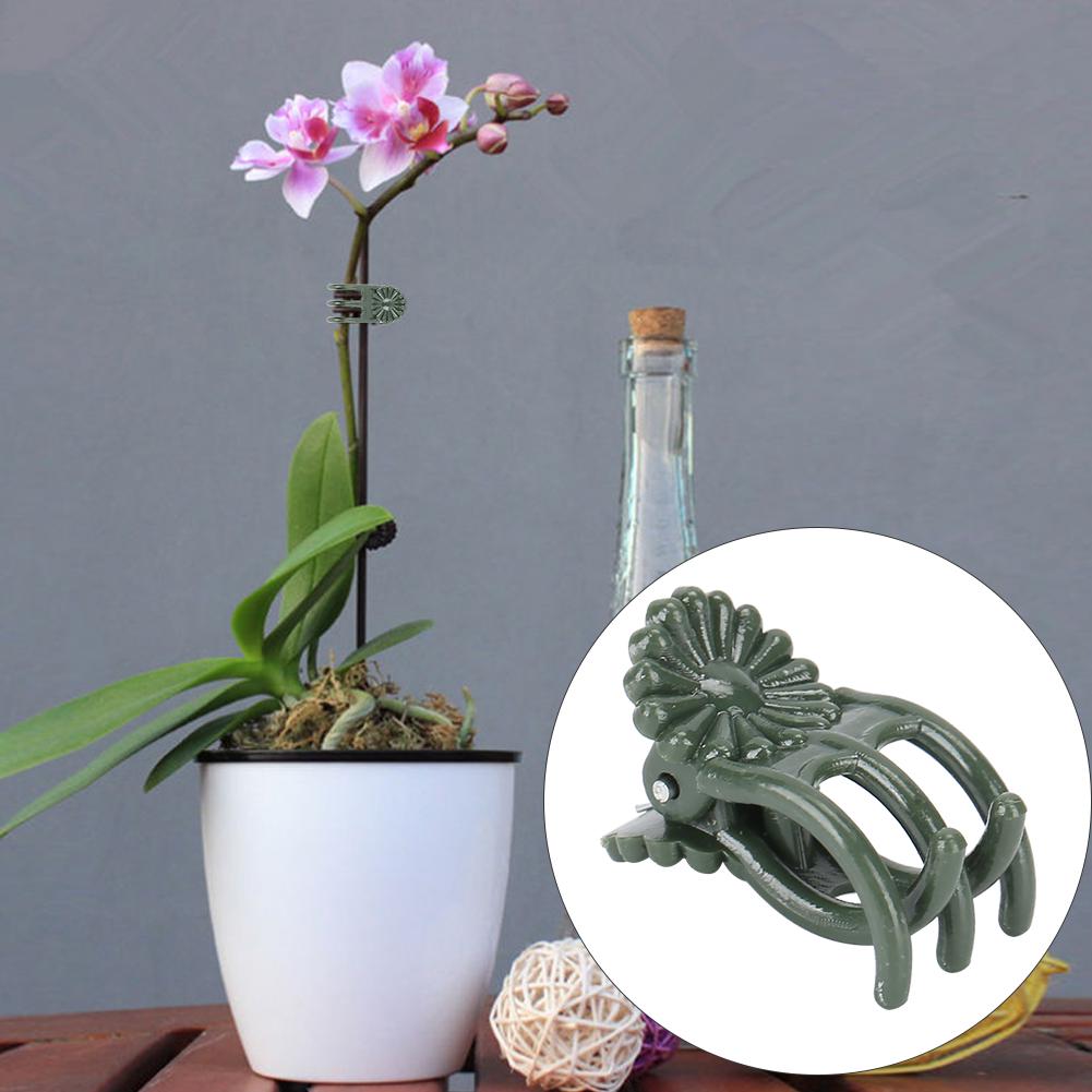 100Pcs Plant Clip Beautiful Chrysanthemum Shape Garden Flower Stems Fixing Support Clips ToolWith