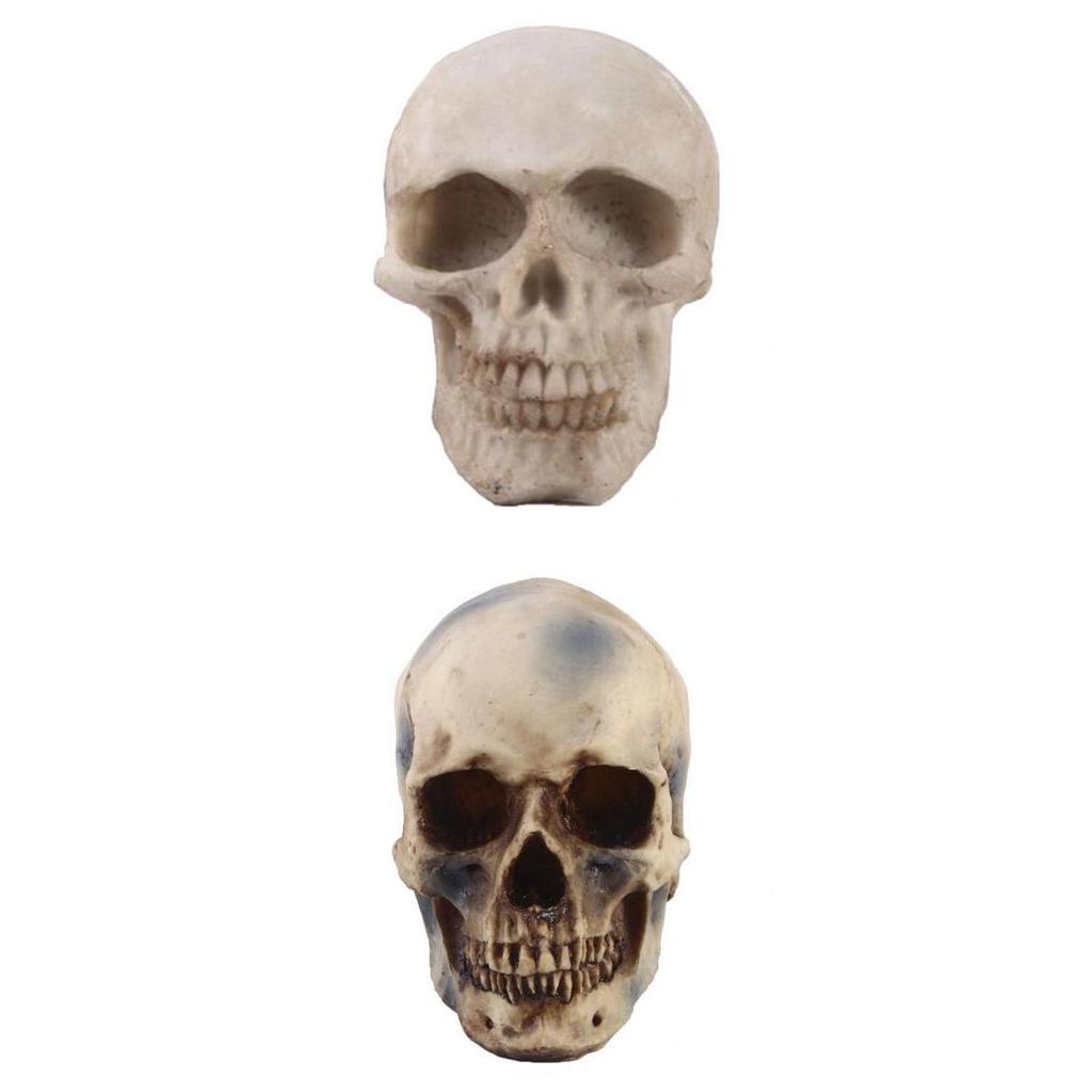 2pcs Resin Tabletop Skeleton Model Dispaly Props