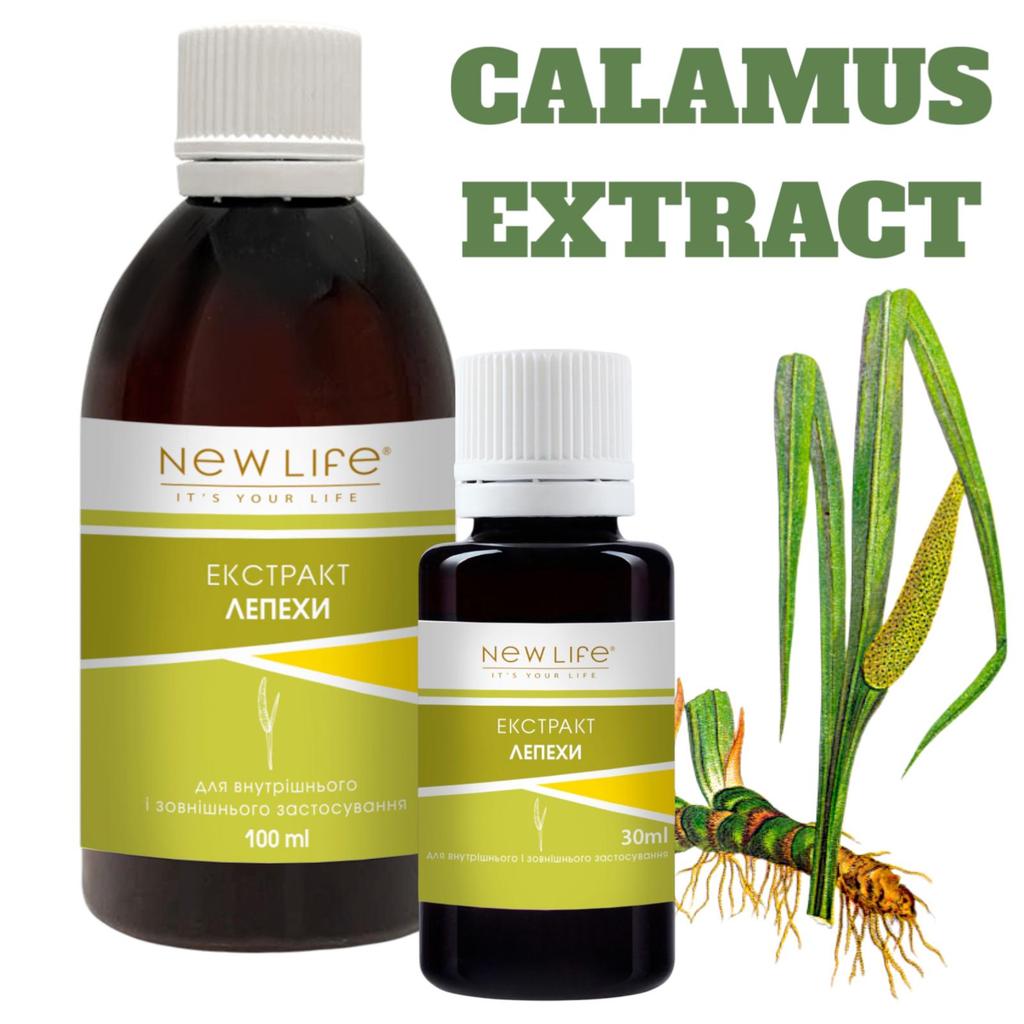Calamus Root Extract Tincture Herbal Liquid Supplement Dietary New Life