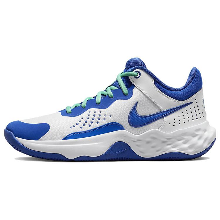 

Новые Nike Fly.By Mid 3 Белые Игровой Королевский DD9311-102 43