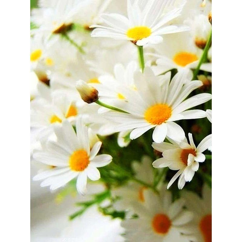 5d Full Diamond Painting Daisy Landscape Diamond Mosaic Embroidery Flowers Crafts Rhinestone Pictures Home Decor