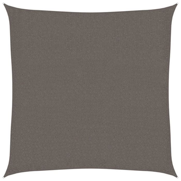 VidaXLVoile d'Ombrage PEHD Carré 2x2 m Anthracite Voile Parasol Pare-soleil 43011