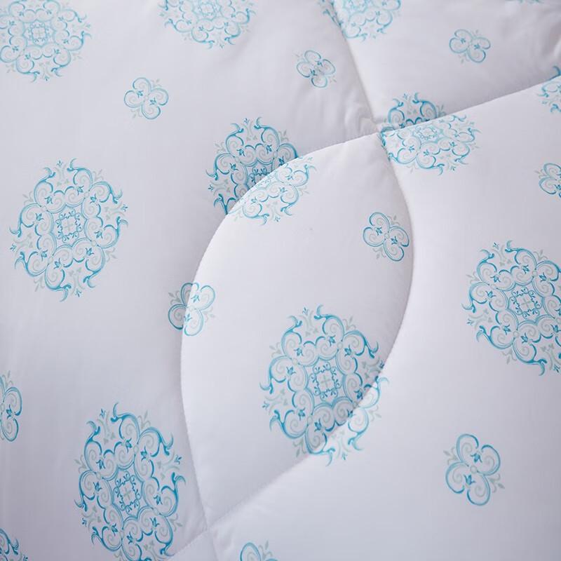 Hengyuanxiang All-Season Warm Quilt