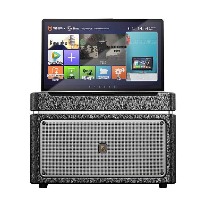 Portable KTV Bluetooth Speaker with Display and Dual Mics (CN Version)