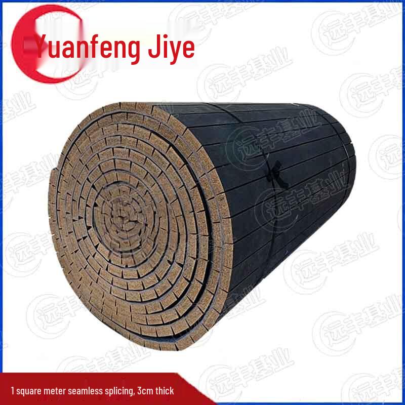 Sanda, Judo, and Gymnastics Training Mat